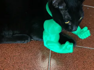 Hulk arms chicken or cat