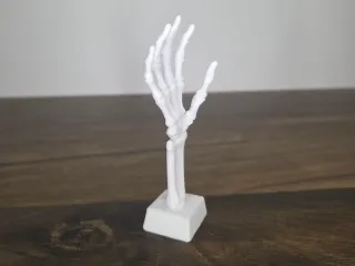 Skeleton Hand