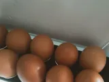 egg tray-3