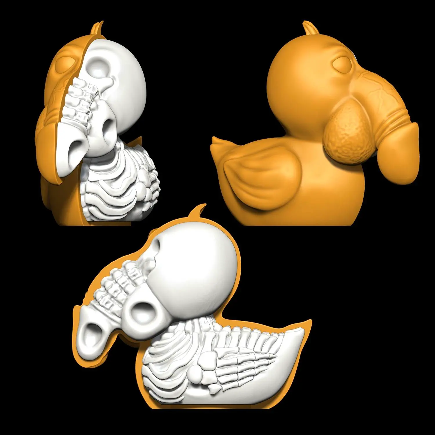 Dick penis Duck Skeleton