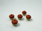 Mini Acorn-1
