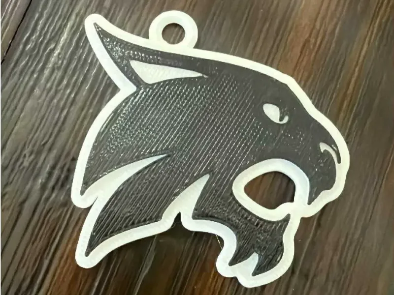 Texas State University Chain