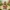 Mario Bros 3D Figures – Goomba