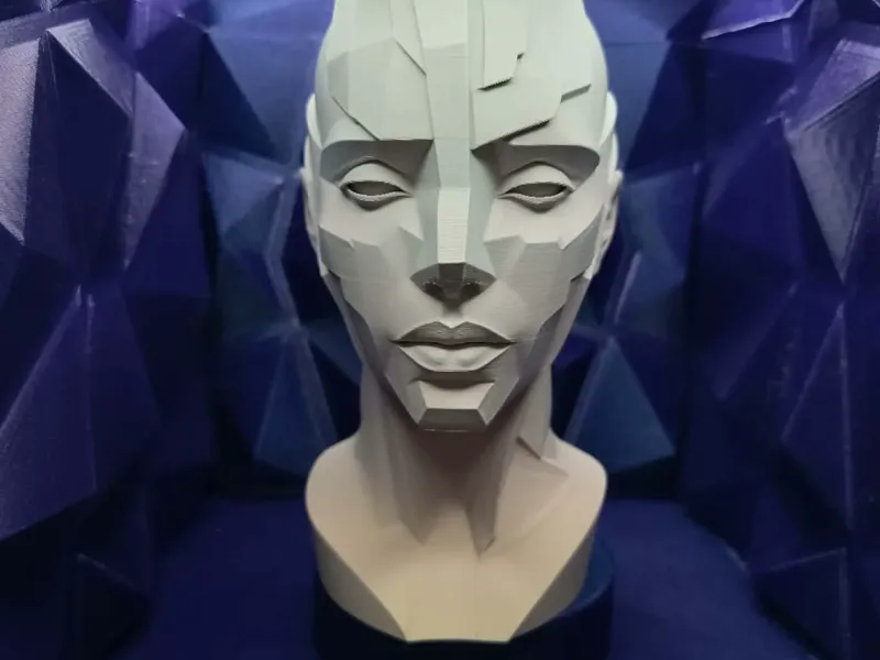 INK OF MEMORY — Faceted Witness