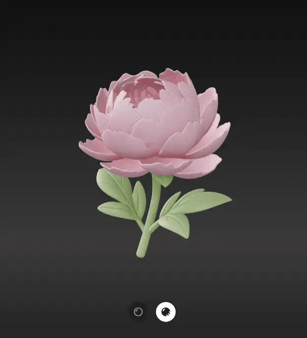Peony flower
