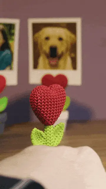 Knitted Heart Plant Photo Holder