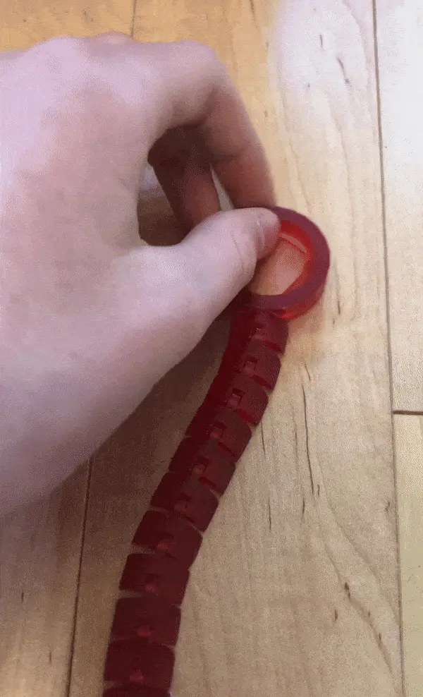 flexi fidget slug key chain long, short and normal