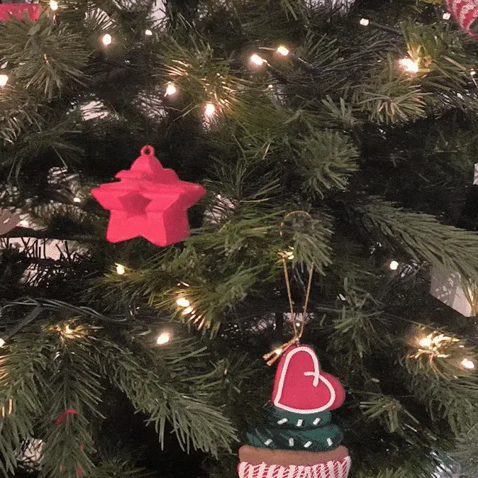 The Flips - Star Present