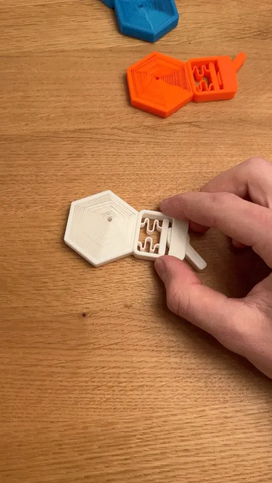 Double Fidget Toy – Switch & Hexagon