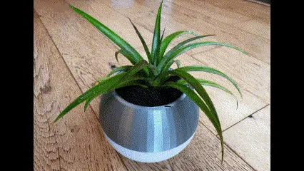 Modern Self Watering and Draining Plant Pot Planter