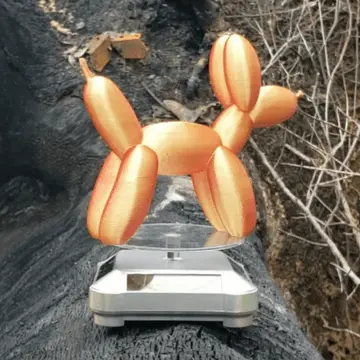 Ballon Dog By Pretzel Prints