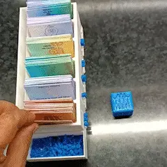 EVERY DAY BETTER SELF DEVELOPMENT CARD GAME