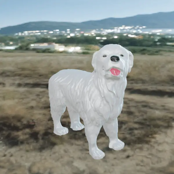 Dog Patou des Pyrénées