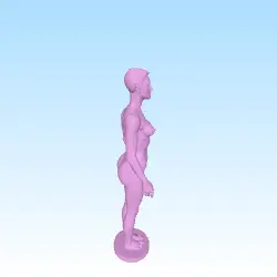 anatomic model of naked woman