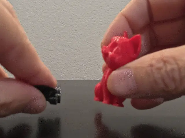 Cute Cat #1 with Skateboard