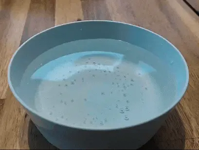 Blooming flower pattern