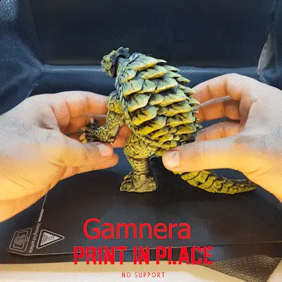 gamera printinplace