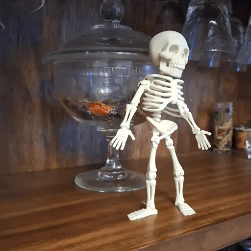 Articulated skeleton