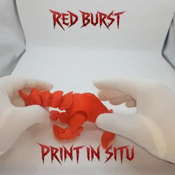 red burst flexi printinplace