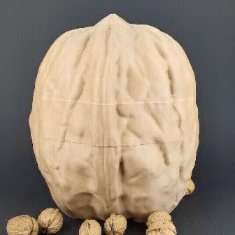 Walnut Container | Print-in-place | No Support