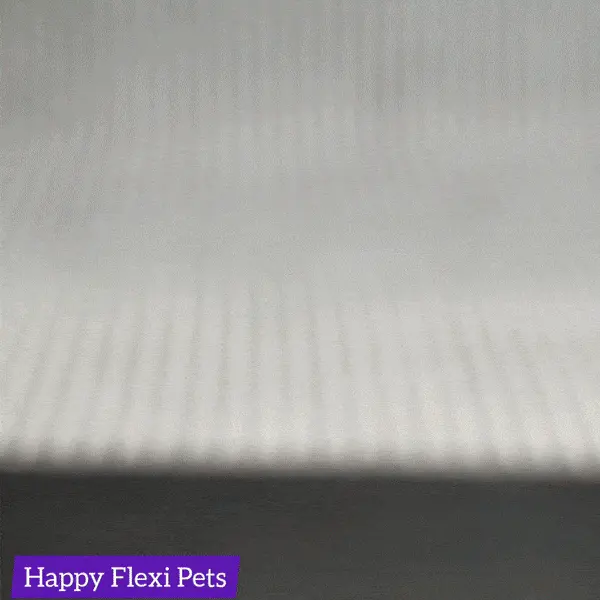 Little Dark and her kitty - art doll / home decor