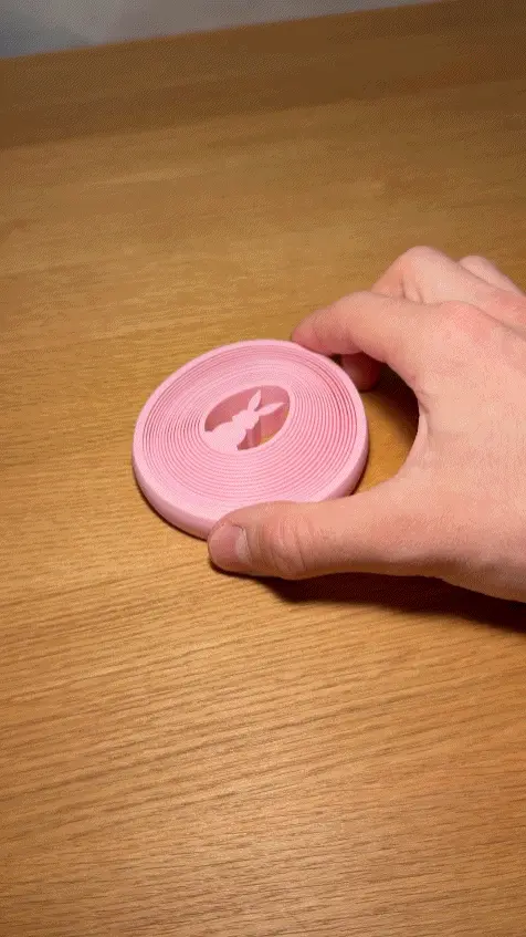 Easter Egg with Bunny Fidget Toy