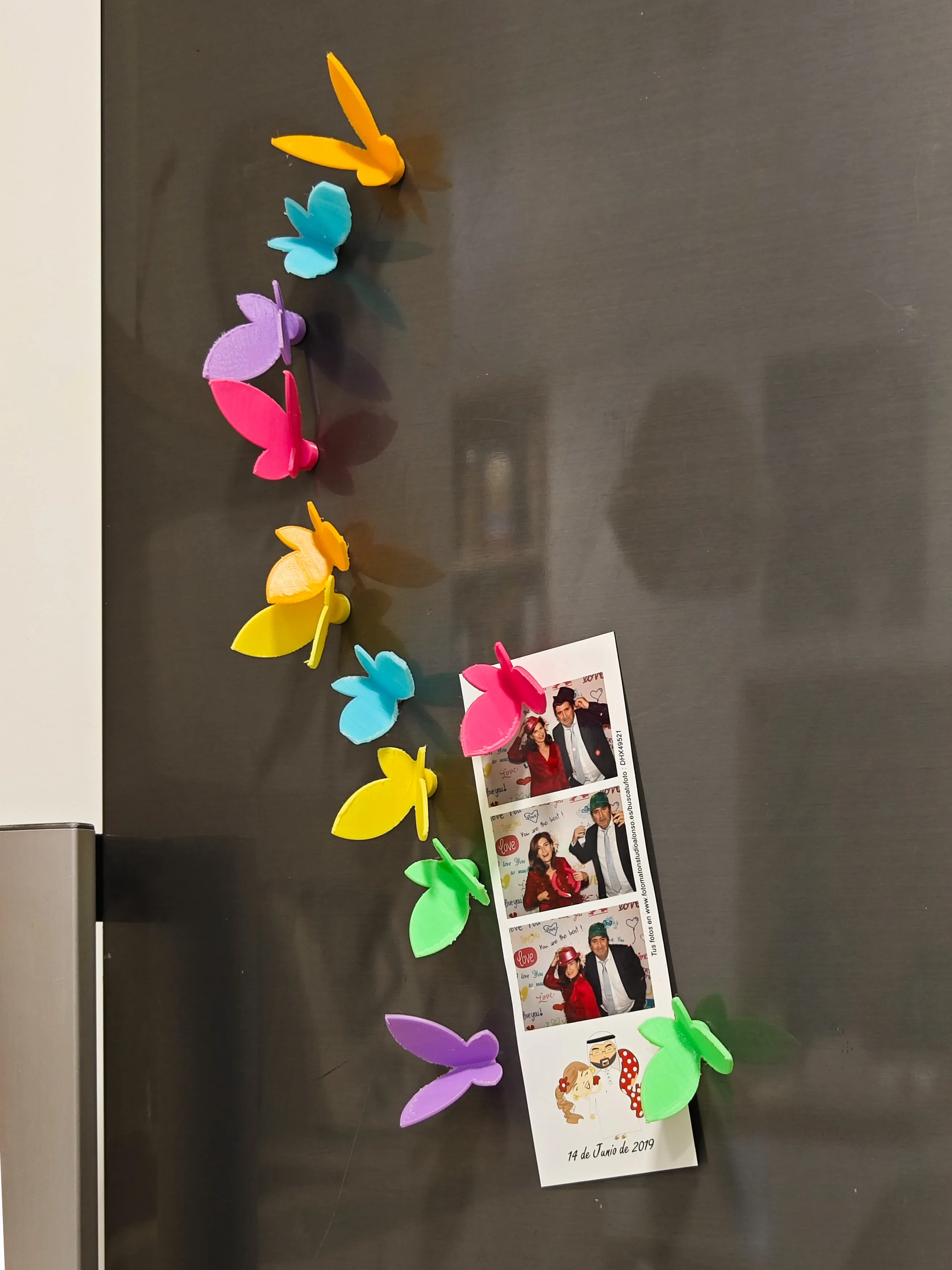 Butterfly magnets