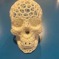 Voronoi-style Skull with no supports-0