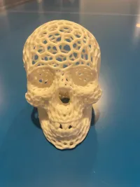 Voronoi-style Skull with no supports-0