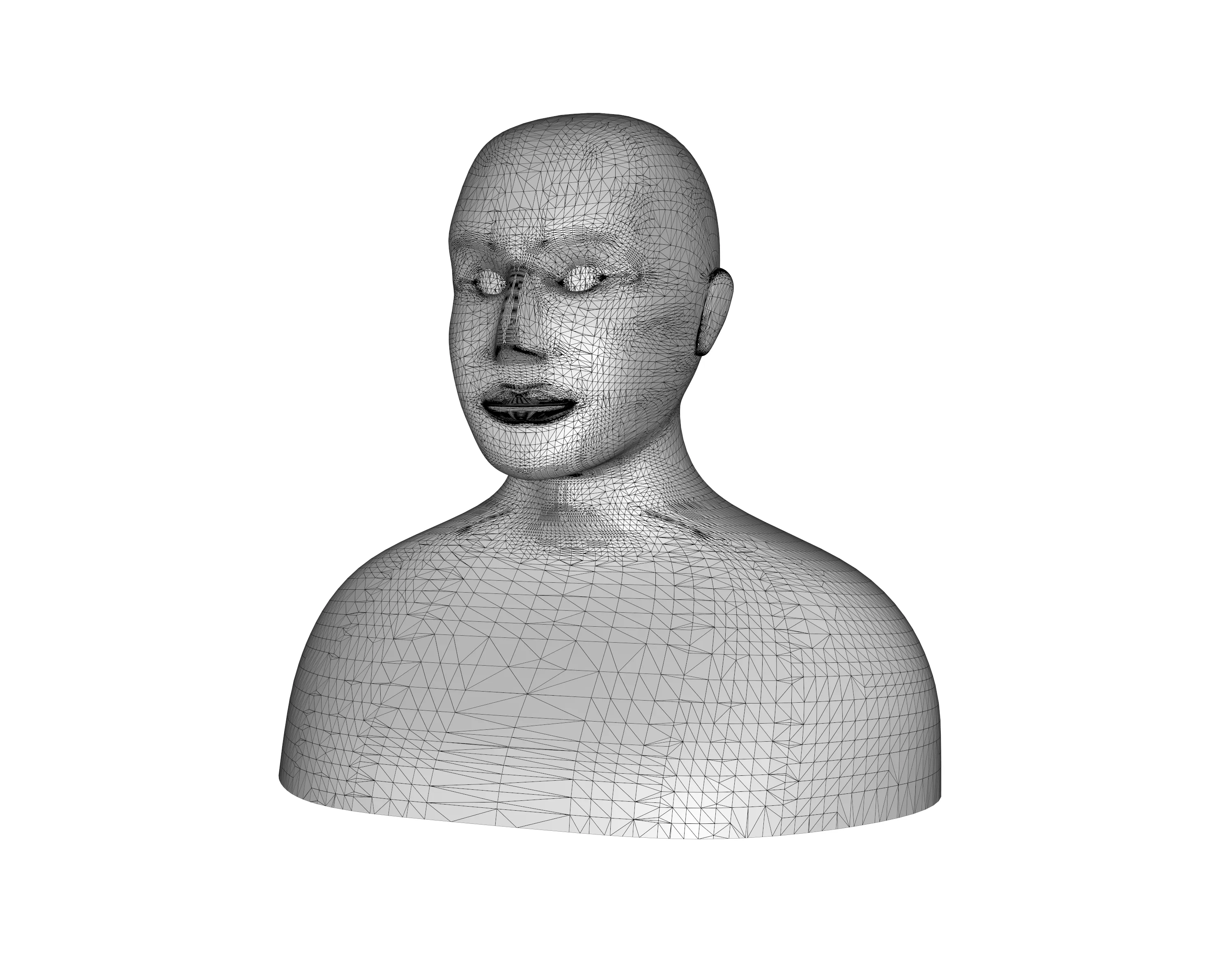 Human 3d model