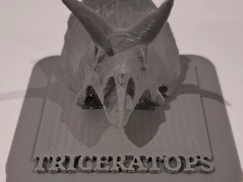 Triceratops