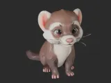 Cute Ferret-4