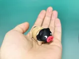 articulated pig可动关节猪-3