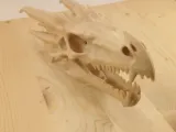 Crâne de dragon-3