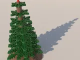 Christmas tree 03-1