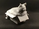 Fat cat in box-3