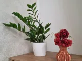 Spiral Vase-0