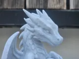 Dragon Succulent Planter-9