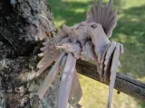 Phoenix Flexible-1