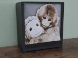 Love Panchi-4
