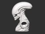 Busto versión Alien Xenomorfo-3