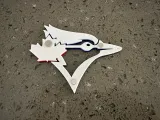 Blue Jay Head-2
