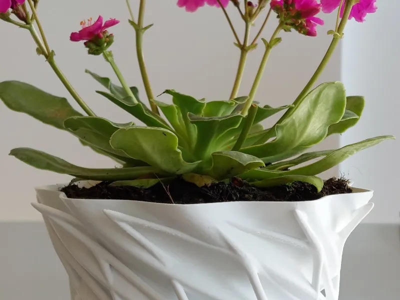 Pot Interior Decor T