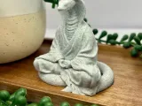 Snake meditating-1
