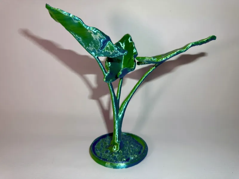 Modello di pianta di Alocasia scansionato in 3D