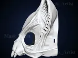 Cat skull mask-2