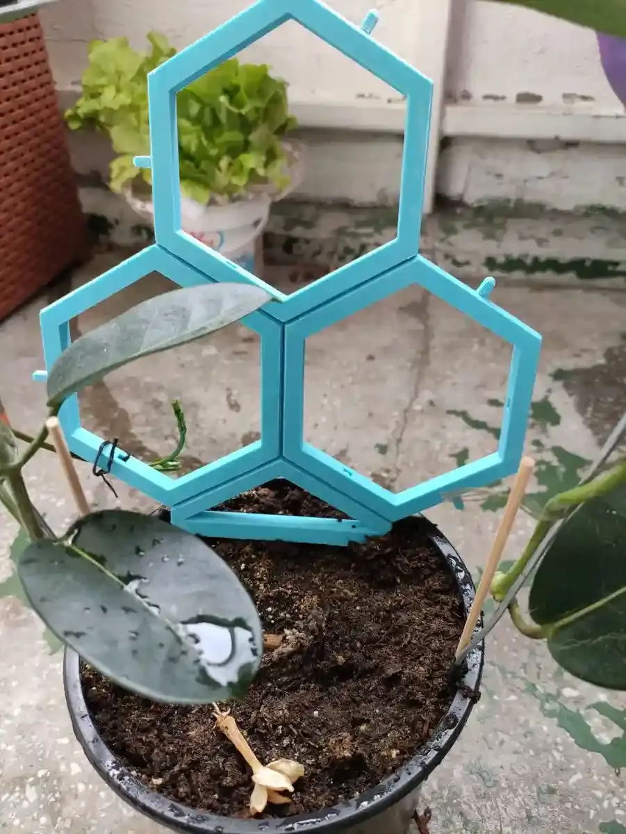 Modular trellis system for climbing 🧗‍♀️ plants 🌿