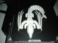 Silver Dragon-3