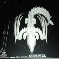 Silver Dragon-3