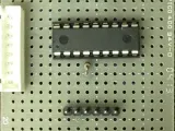 Kinoko Lamp-5